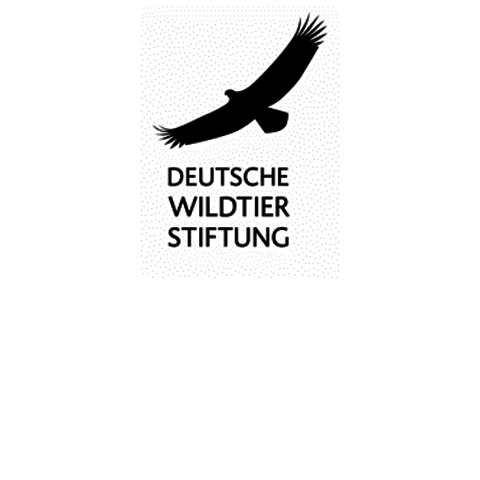 Logo der Deutschen Wildtierstiftung