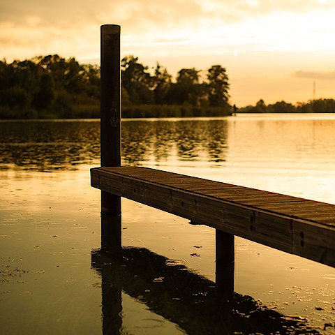 Ausschnitt eines Holzsteges an einem natürlichen Wasser, in goldenes Licht getaucht, feine Regentropfen erkennbar.