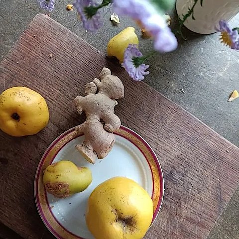 Kräuterwerkstatt Ingwer