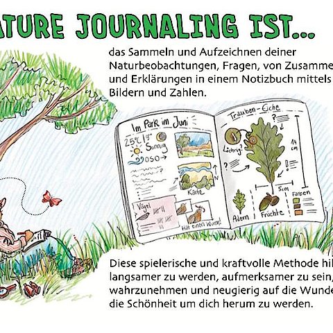 Buntstift-Skizze, die die Idee hinter Nature Journaling erklärt. Eine Person in der Natur, zeichnet in ein Tagebuch.