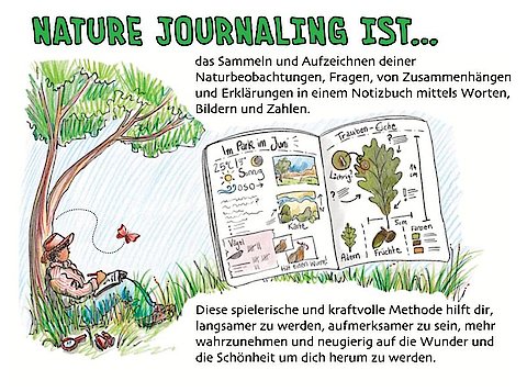 Buntstift-Skizze, die die Idee hinter Nature Journaling erkl&auml;rt. Eine Person in der Natur, zeichnet in ein Tagebuch.