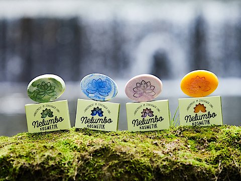 Foto von vier ovalen Seifen in vier verschiedenen Farben auf einem mit Moos bewachsenen Baumstamm aufgereiht.