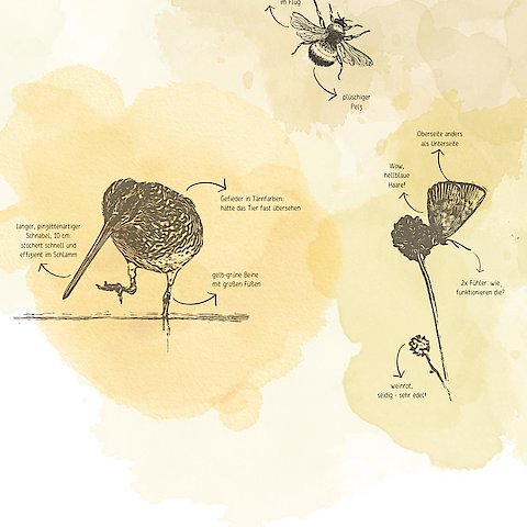 Nature Journaling