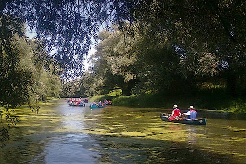 Eine Gruppe von Paddlern ist mit Zweier- und Dreier-Kanus unterwegs auf einem Fluss.n dominiert das Bild und wirkt fast wie im Dschungel.